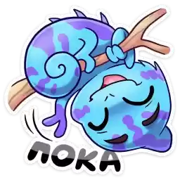 cham_vk