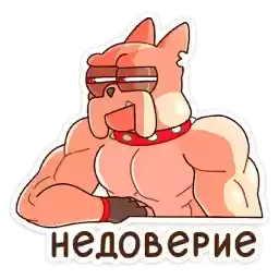 champ_vk