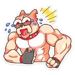 champ_vk
