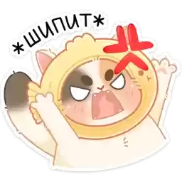 cheese_vk