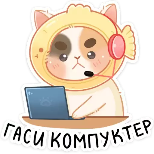 cheese_vk