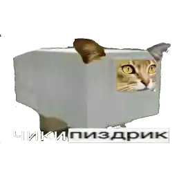 chikiiibamboniii