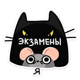 chris_vk