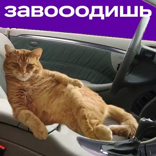 citydrive2024