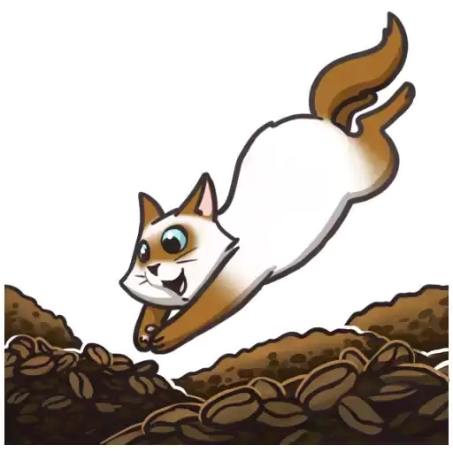 coffekot
