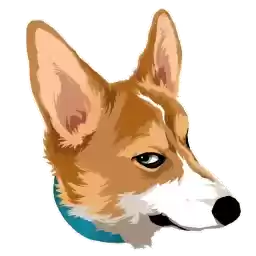corgidog