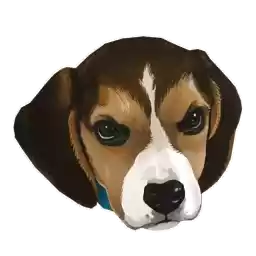 corgidog