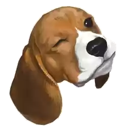corgidog