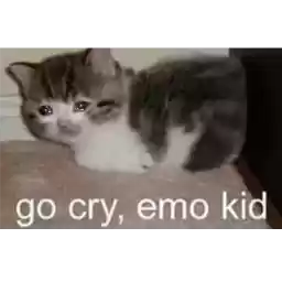 cryingcatdeluxe