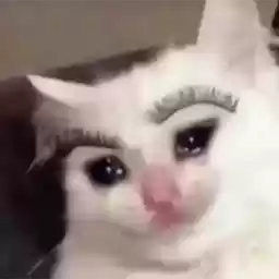 cryingcatdeluxe