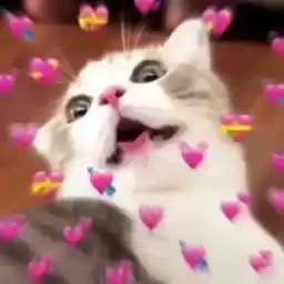 cutekitttens