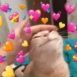 cutekitttens