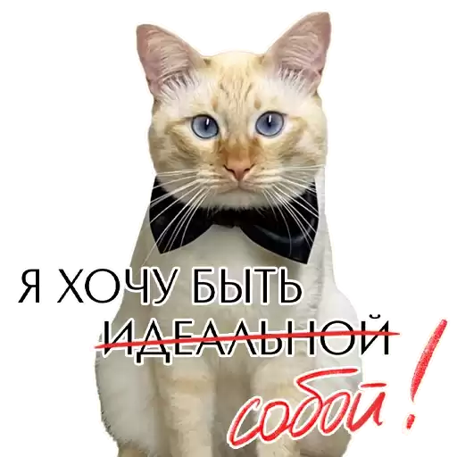 debeaute_stickers