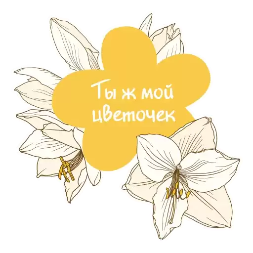divanflower