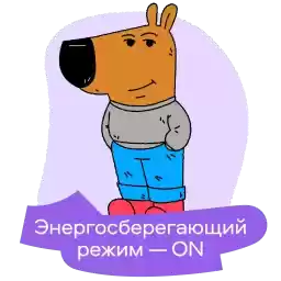 doska_pocheta_avito
