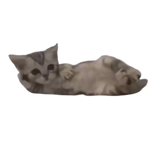 epwpew