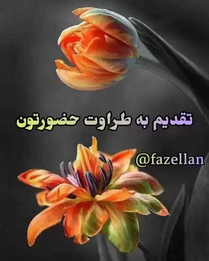 faze7llan_by_fStikBot
