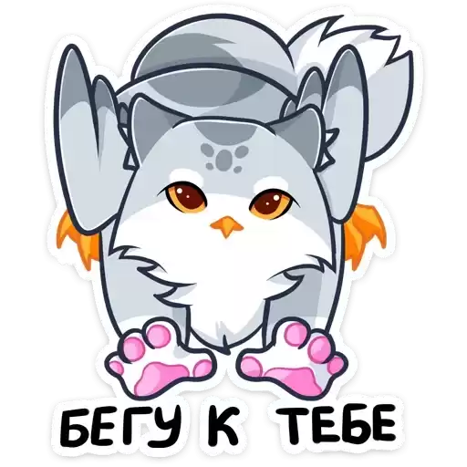 fenyacat_vk