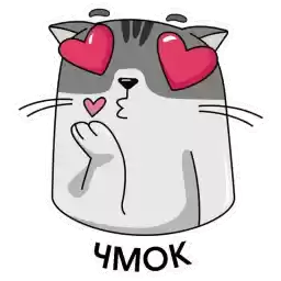finikcat