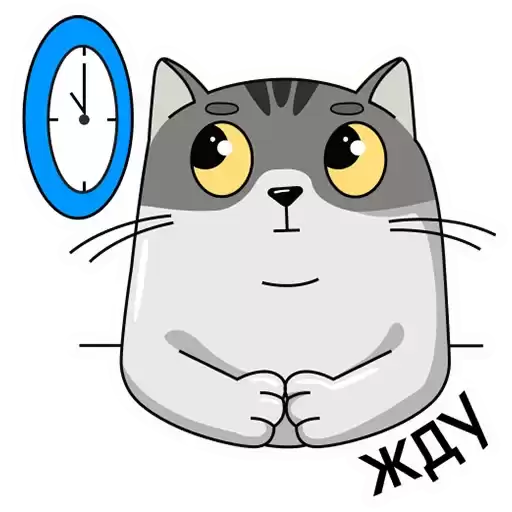 finikcat