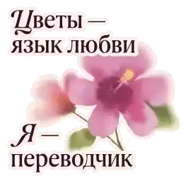 flowwow_seller_tg