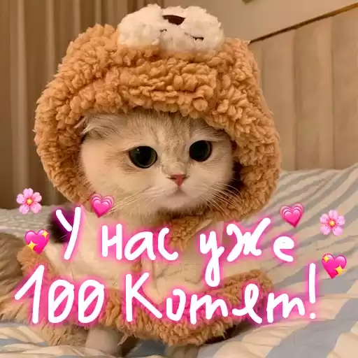 foradmins_nino