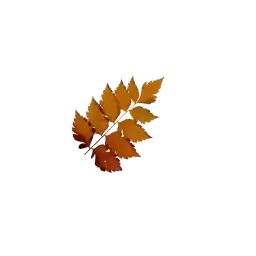 fwq_by_fStikBot