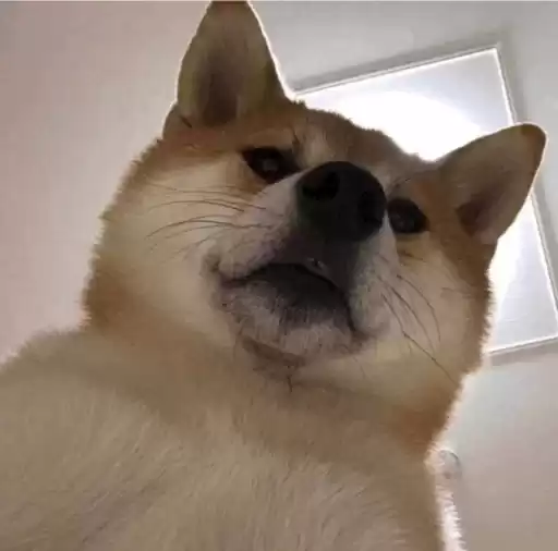 gdhdbhdhdbdh