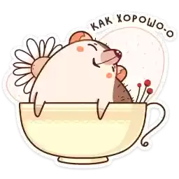ginger_vk