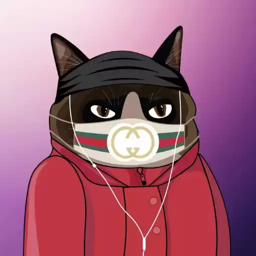 grumpycatonsol