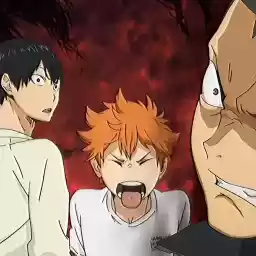 hinatashaikyu