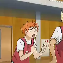 hinatashaikyu
