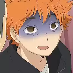 hinatashaikyu