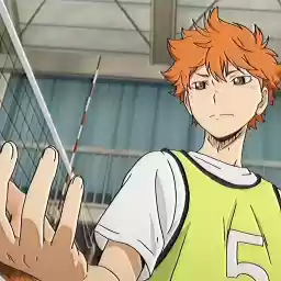 hinatashaikyu