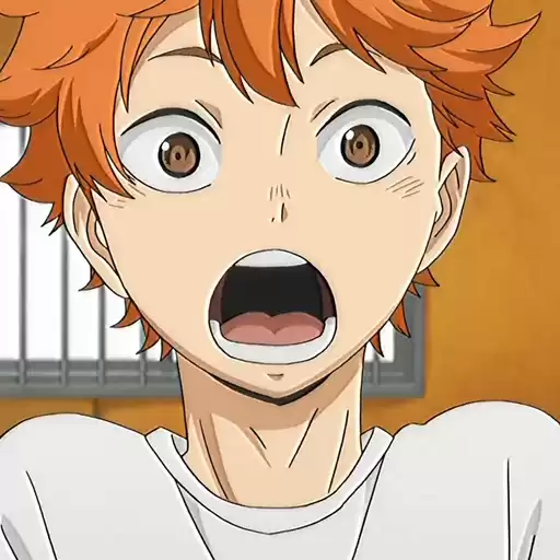 hinatashaikyu