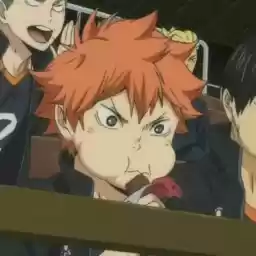 hinatashoyo