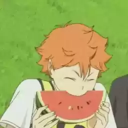 hinatashoyo