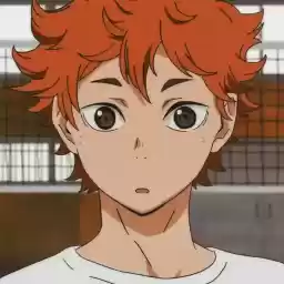 hinatashoyo