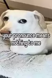 homophobicanimal