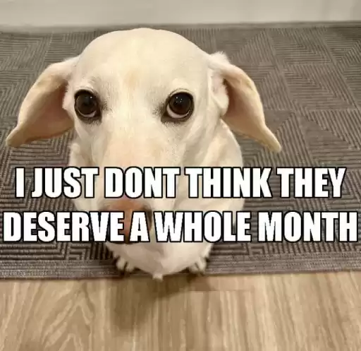 homophobicanimal