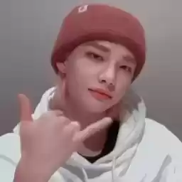 hyhnjinaestetbylnst