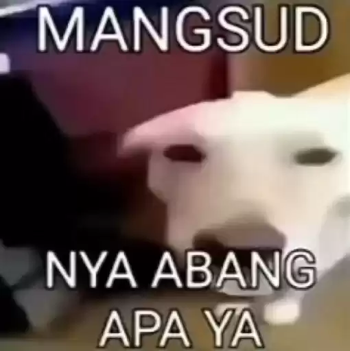 iydeeznutut