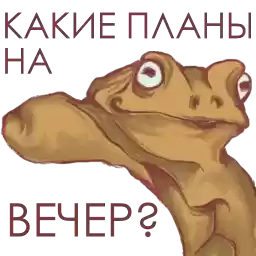 jabbu