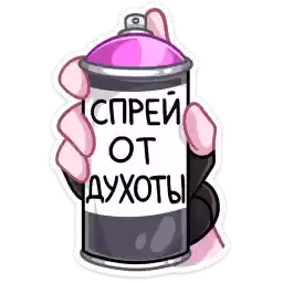 kim_vk