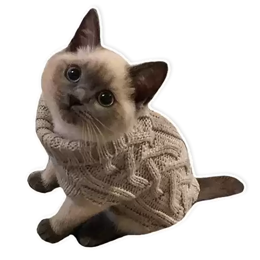 kitani