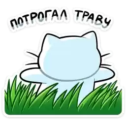kitties_vacation