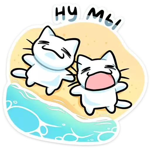kitties_vacation