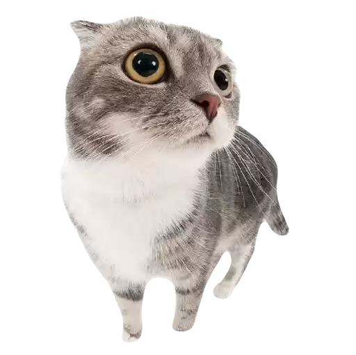 kitttttya_by_fStikBot