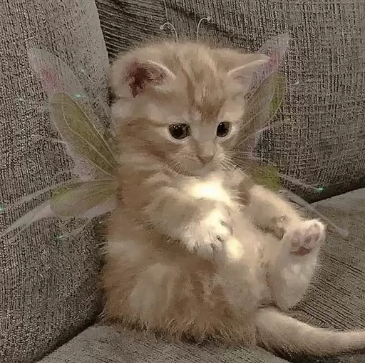 kittykittykitty_by_fStikBot