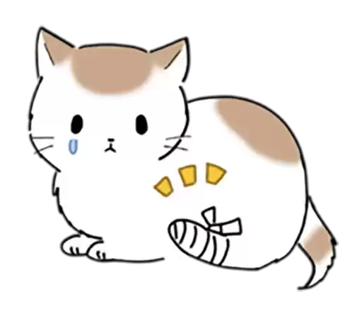 kittylakri